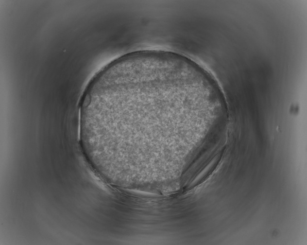 X0000091901223200710031816