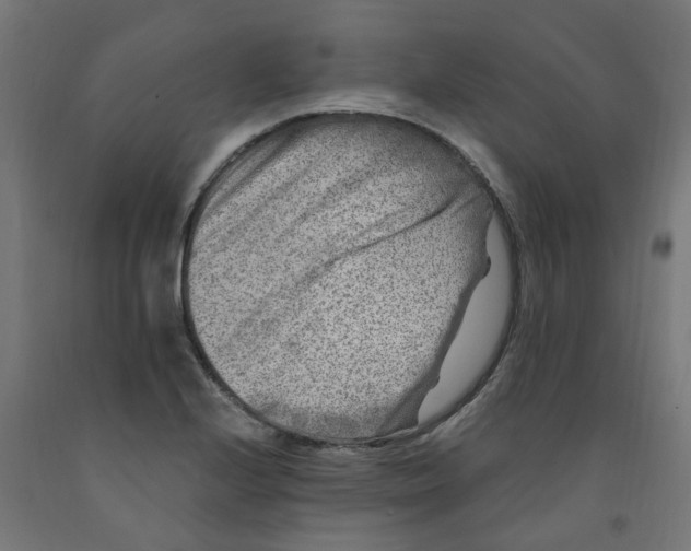 X0000091901224200710031816