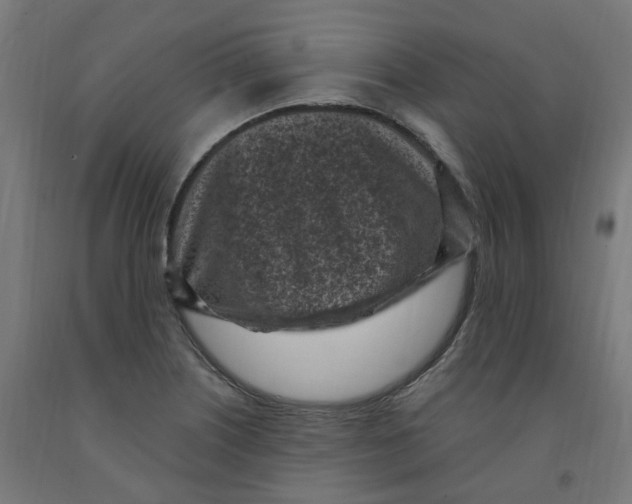 X0000091901226200710031816