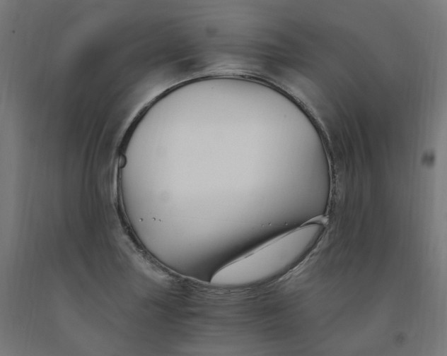 X0000091901227200710031816