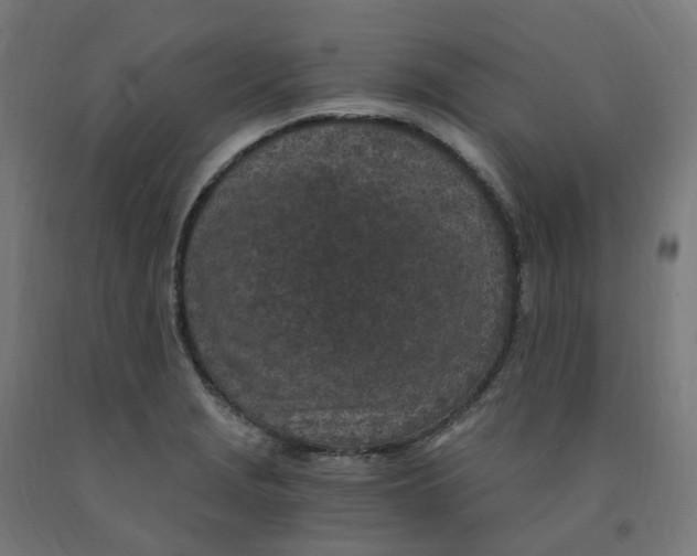 X0000091901229200710031816