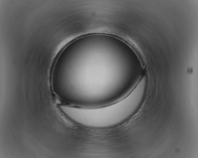 X0000091901230200710031816