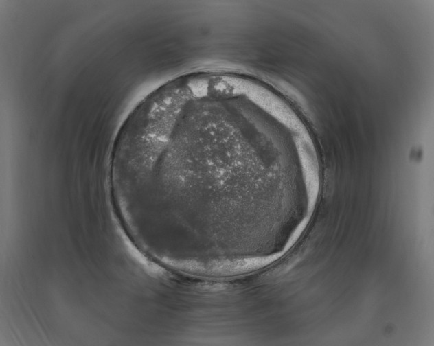 X0000091901231200710031816