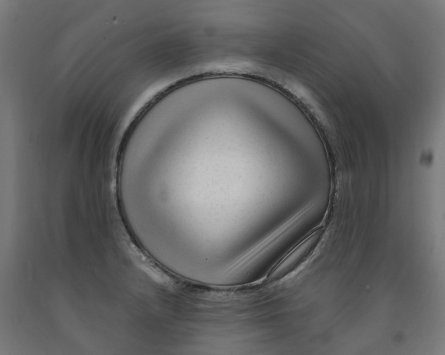 X0000091901232200710031816