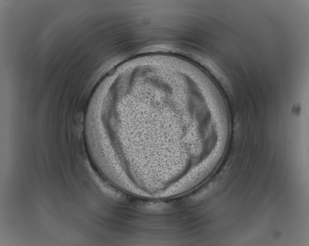 X0000091901233200710031816