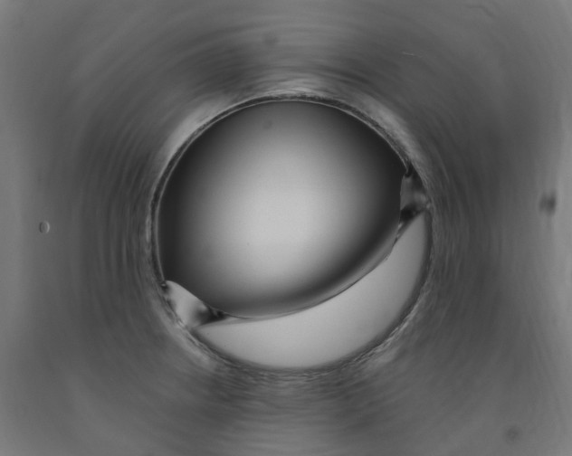 X0000091901234200710031816