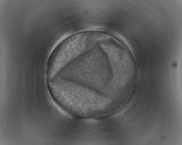 X0000091901235200710031816