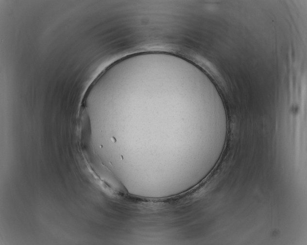 X0000091901236200710031816