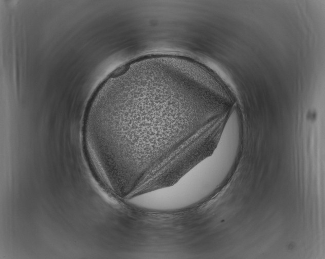 X0000091901237200710031816