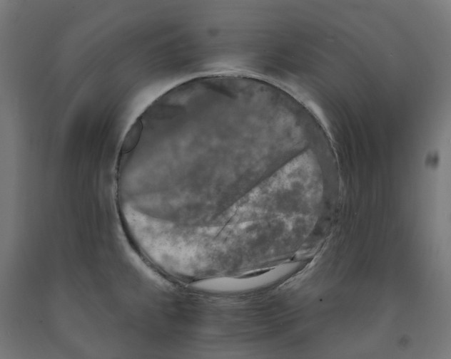 X0000091901239200710031816