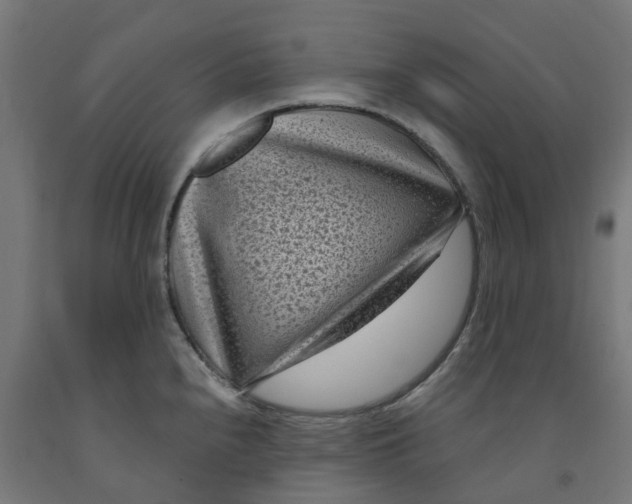 X0000091901240200710031816