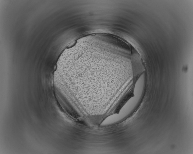 X0000091901241200710031816