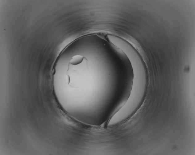 X0000091901242200710031816