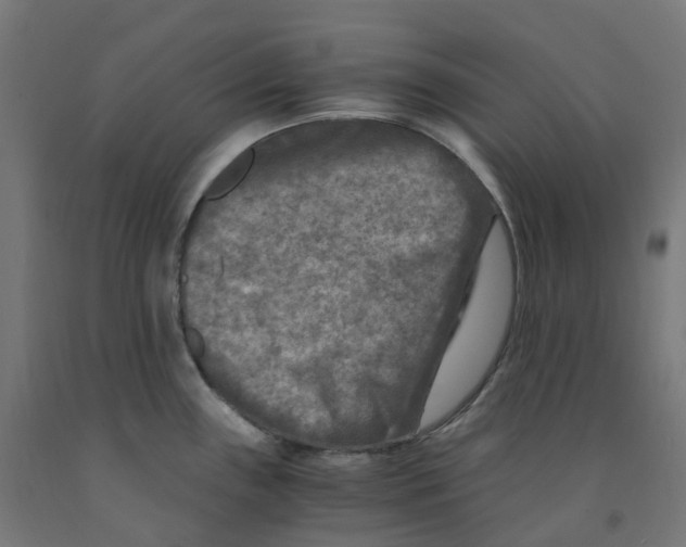 X0000091901243200710031816