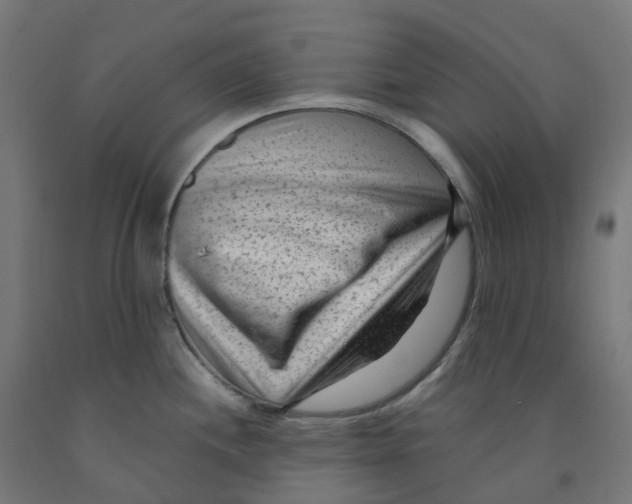 X0000091901244200710031816