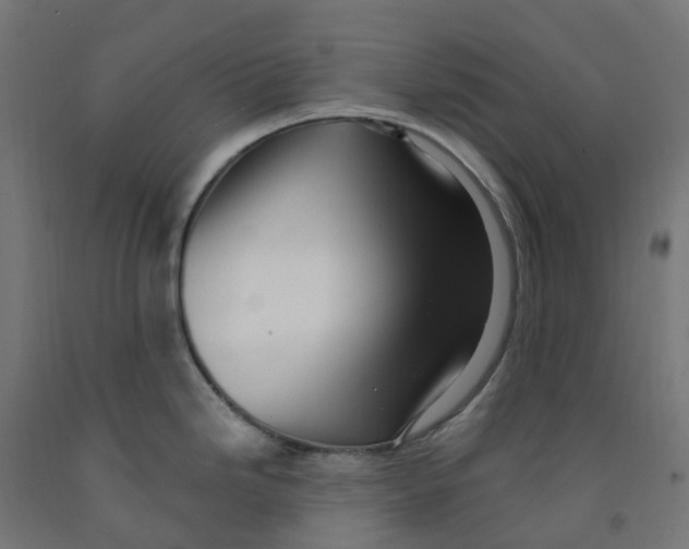 X0000091901246200710031816