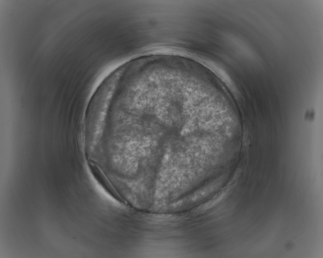 X0000091901247200710031816