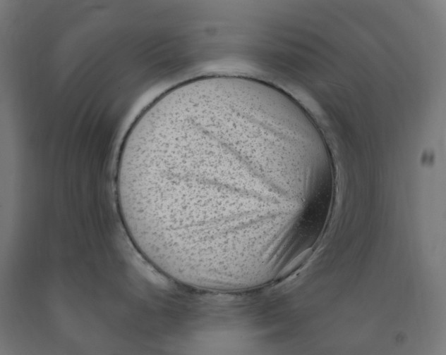 X0000091901248200710031816