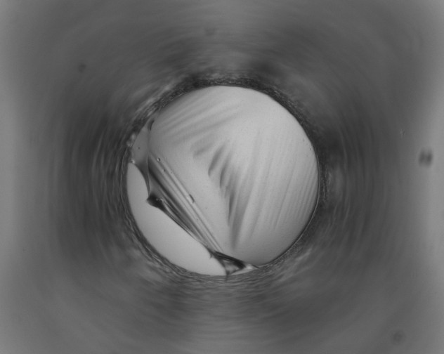 X0000091901250200710031815