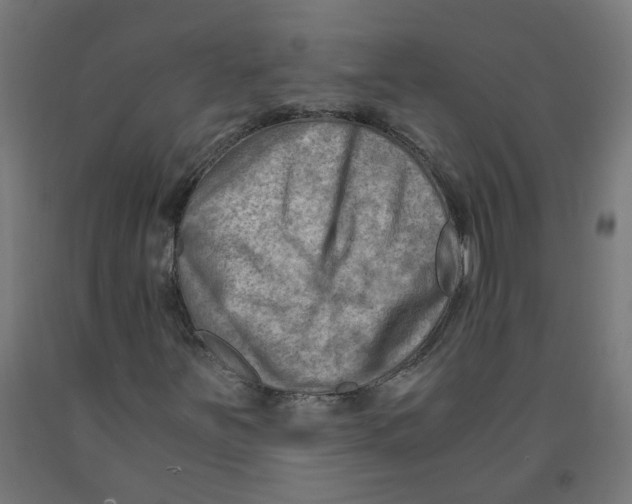 X0000091901251200710031815