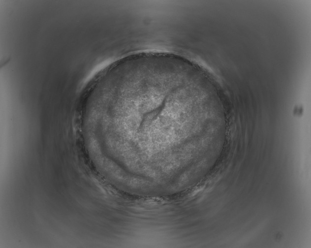 X0000091901255200710031815