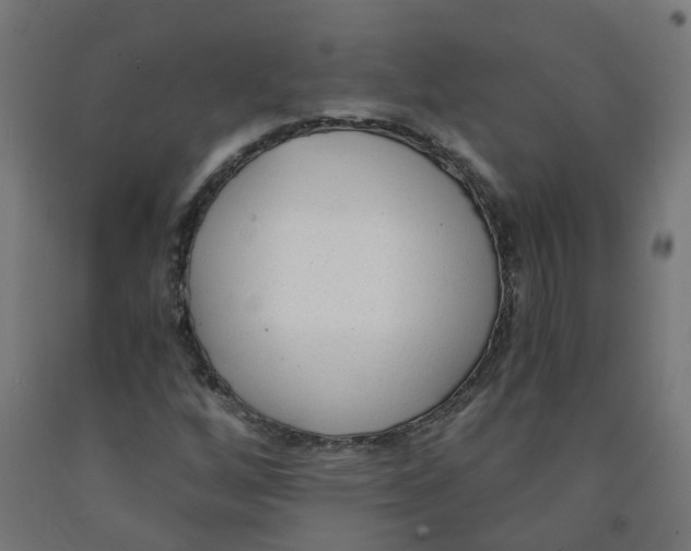 X0000091901256200710031815