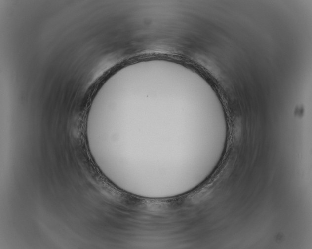 X0000091901258200710031815