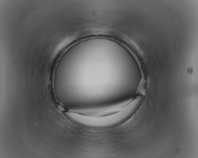 X0000091901261200710031815