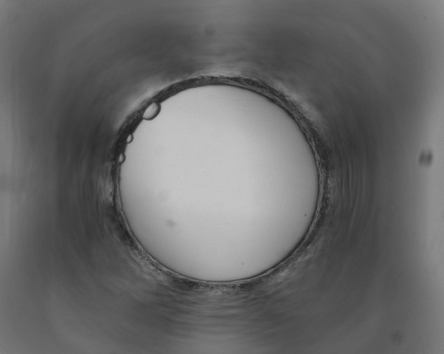 X0000091901262200710031815