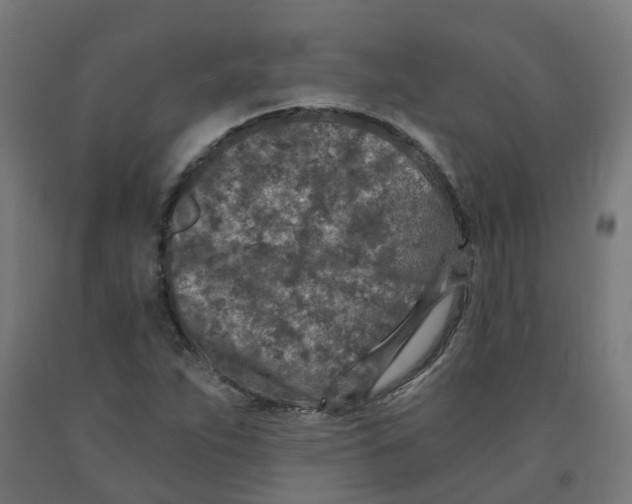 X0000091901263200710031815