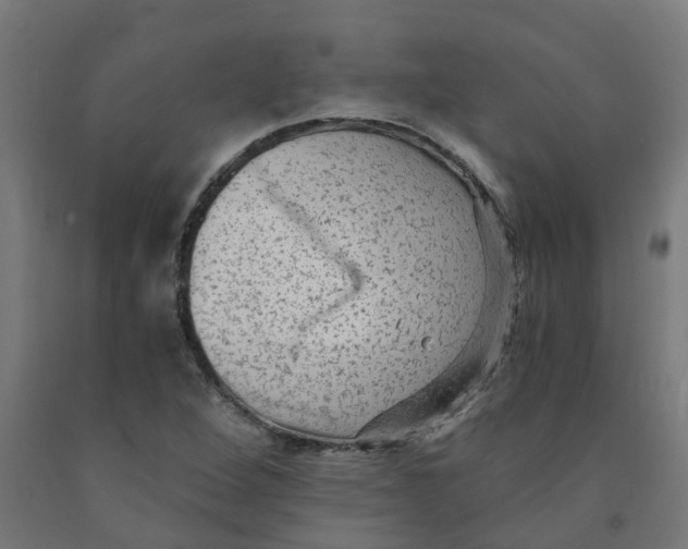 X0000091901264200710031815