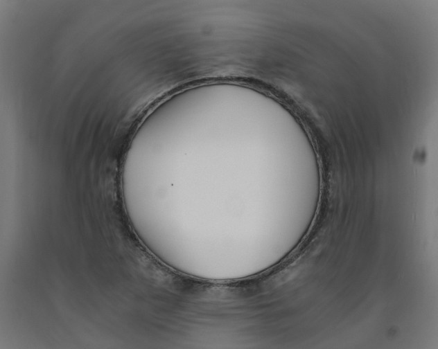 X0000091901265200710031815