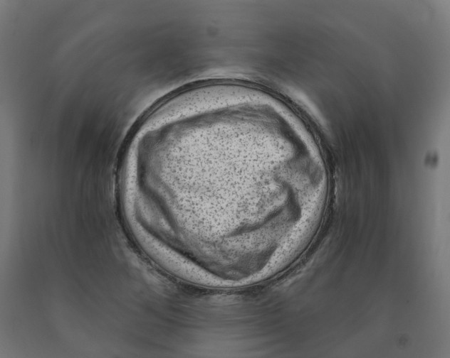 X0000091901268200710031815