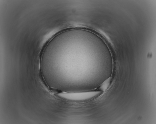 X0000091901269200710031815