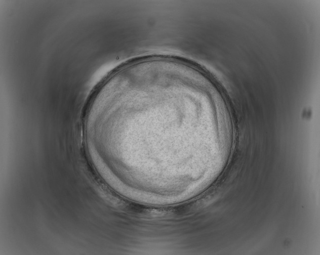 X0000091901271200710031815