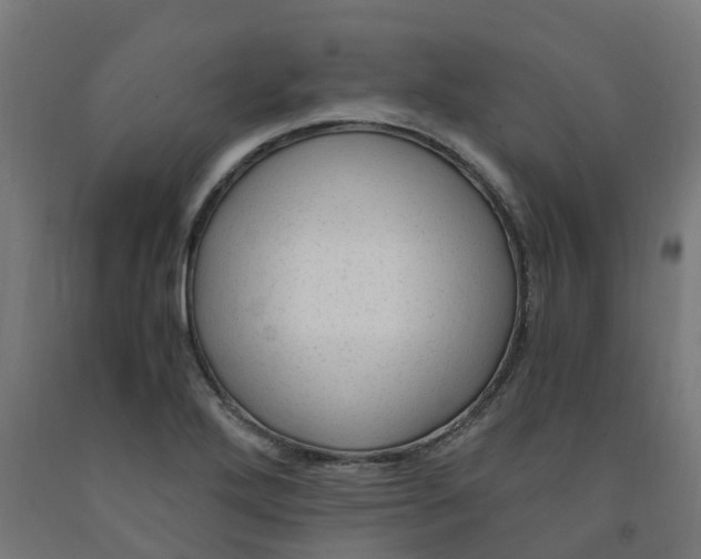 X0000091901272200710031815