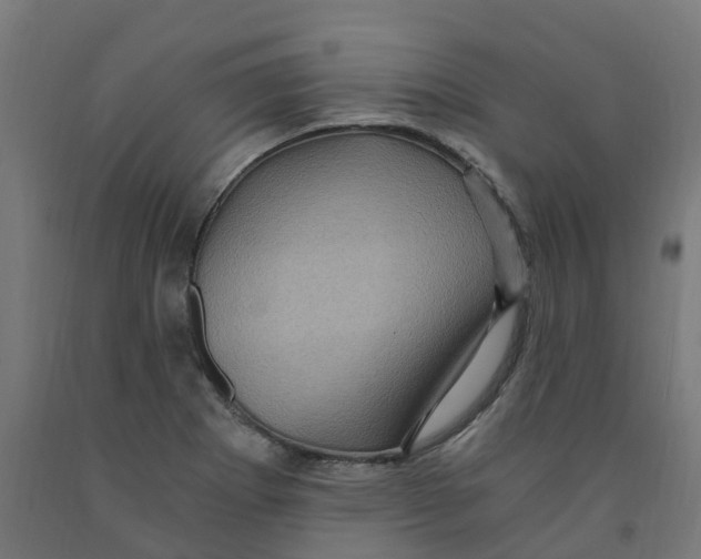 X0000091901273200710031815