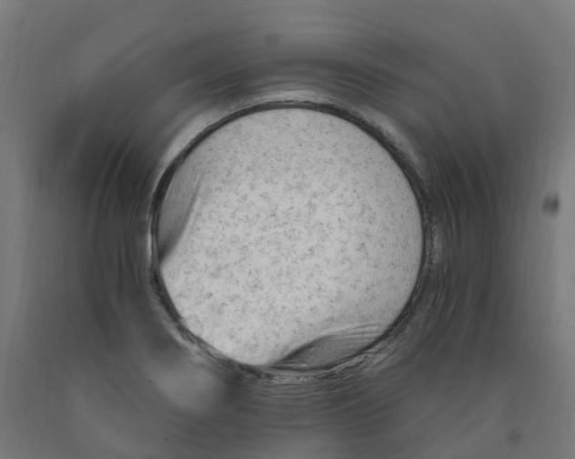 X0000091901274200710031815