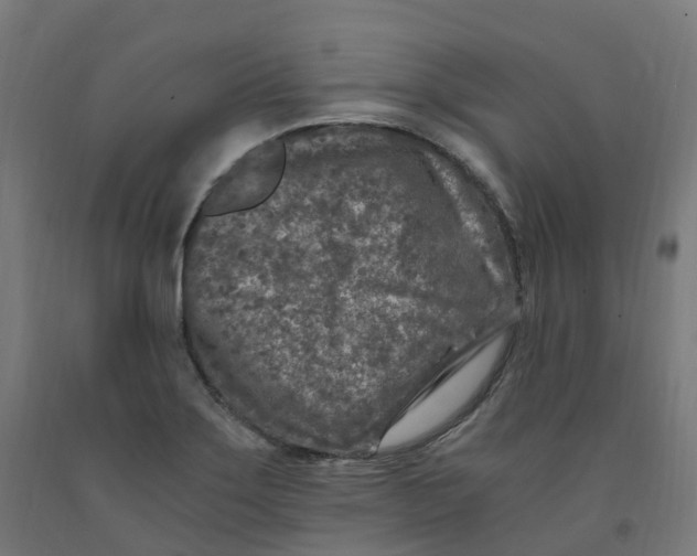 X0000091901275200710031815