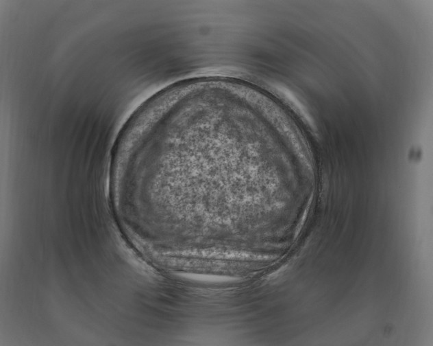 X0000091901276200710031815