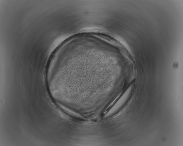 X0000091901277200710031815