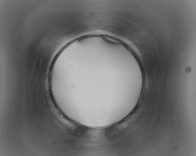 X0000091901278200710031815