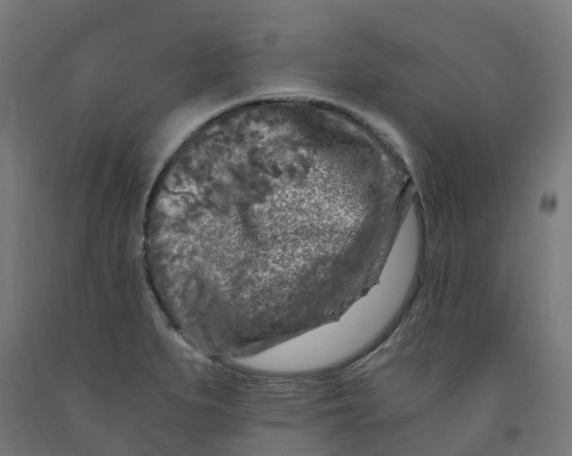 X0000091901279200710031815