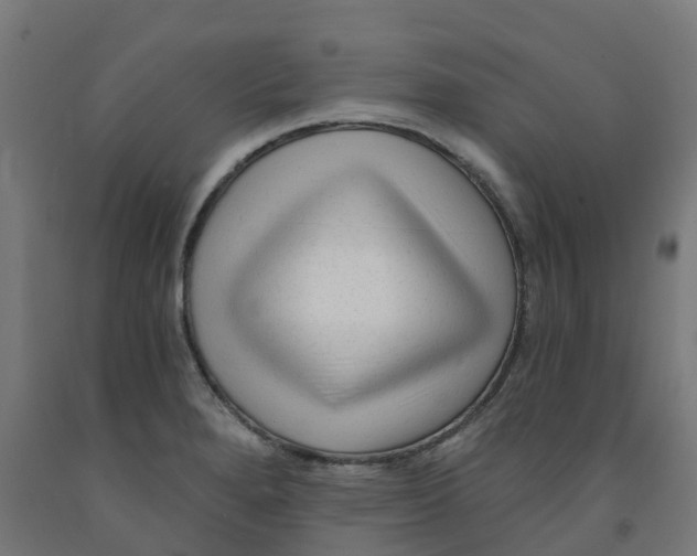 X0000091901280200710031815