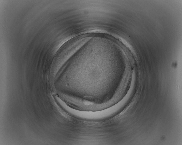 X0000091901281200710031815