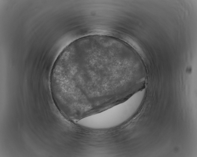 X0000091901283200710031815