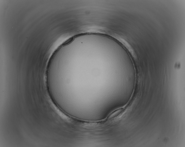 X0000091901285200710031815