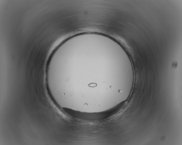 X0000091901286200710031815