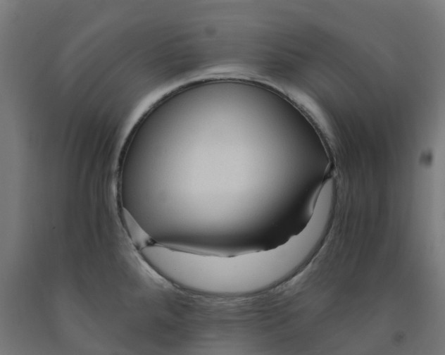 X0000091901288200710031815