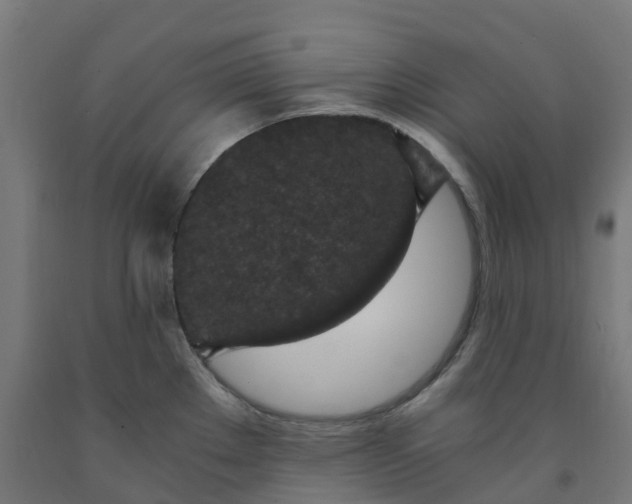 X0000091901289200710031815